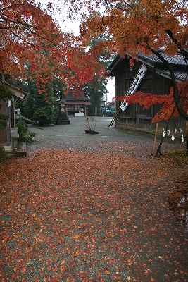 冷たい雨と紅葉の絨毯