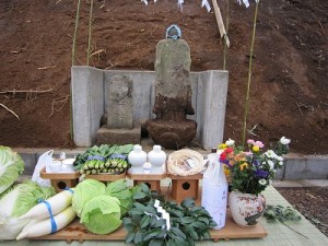 心づくしの穀物が沢山上がりました