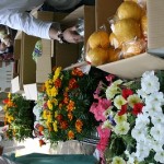 野菜・鉢花の無料配布