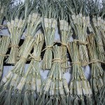 國府祭で頒布する粽（ちまき）