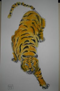 IMG_8070 虎視眈々?