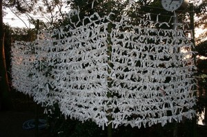 IMG_8502 おみくじの“結び”に思いや希望が詰まっています