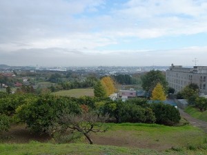 元宮からの眺め