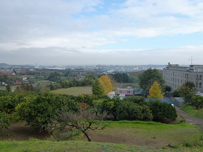 元宮からの眺め