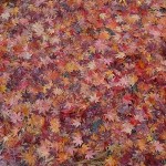 紅葉の絨毯