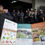 あふり～な比々多店