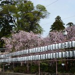 奉納提灯（昨年）