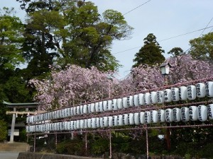 奉納提灯（昨年）