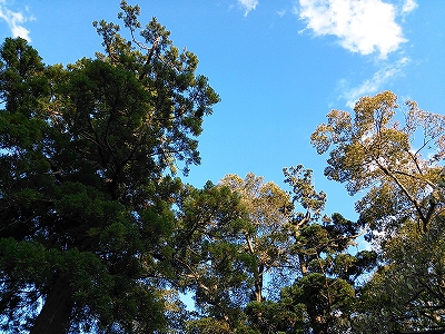青空の広がる境内　夕方