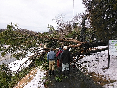 NCM_0009 (2) NCM_0009 (2)