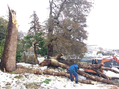 NCM_0010 (2) NCM_0010 (2)