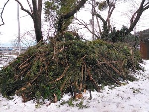 山のような木の枝