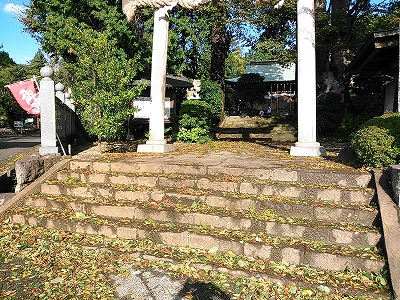 散乱した落ち葉