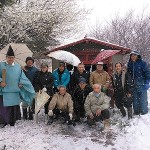 咲いた梅も雪に覆われ