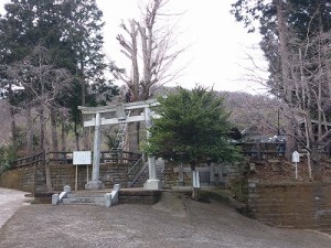 八幡神社　枝下ろし作業