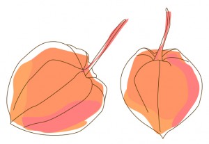 ã»ãã¤ãã