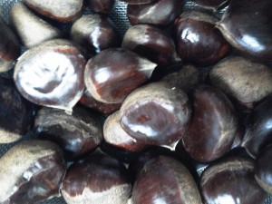 十三夜にお供えした栗