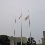 半旗　伊勢原市役所　１７日