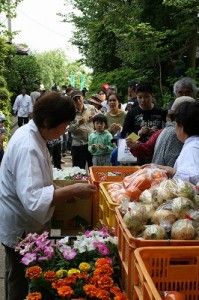野菜または鉢花の無料配布（一昨年の様子）