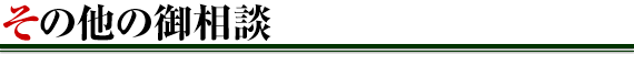 その他のご相談